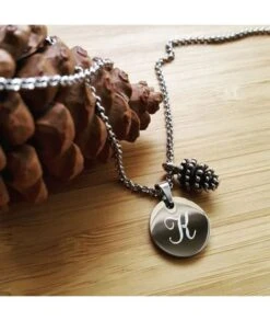 Collier Sautoir Pomme De Pin D'automne Médaille à Graver En Acier Sur Chaîne